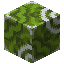 green glazed terracotta