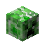 CREEPER_HEAD