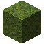 MOSS_BLOCK