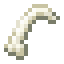 rib bone