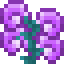 Magebloom