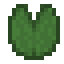 lily pad