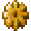 bronze gear