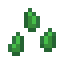 turtle seeds