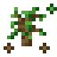 wood essence