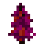 netherwood sapling