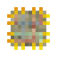 raw fpga
