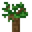 dark oak sapling
