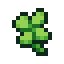lucky clover
