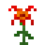 fire lily