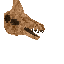 ventoraptor skull level: 1