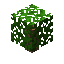 wildberry bush