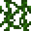 vines