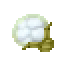 cotton