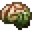 Zombie Brain