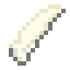 rib bone