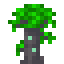 flourishing archwood sapling