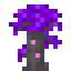 vexing archwood sapling