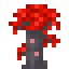 blazing archwood sapling