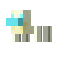 nether star chicken