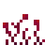 sprouting crimson roots