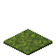 moss carpet