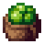 spore sack